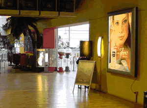 cartelli multimmagine